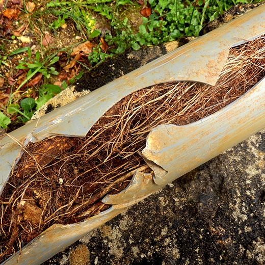 The Drain & Sewer Professionals In Glengowrie